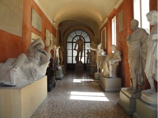 Accademia Belle Arti Bologna Medicina